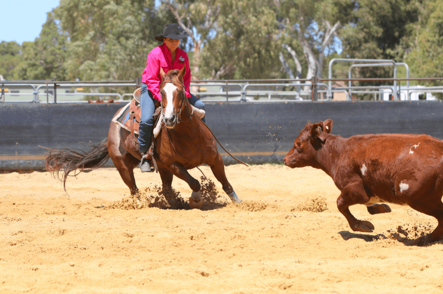 Screen shot 2018 02 14 at 9. 26. 03 am - mira clinic - 75